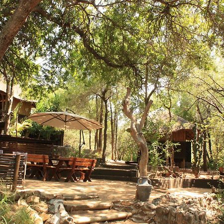 Off Beat Safaris Bush Lodge Hoedspruit Exterior photo